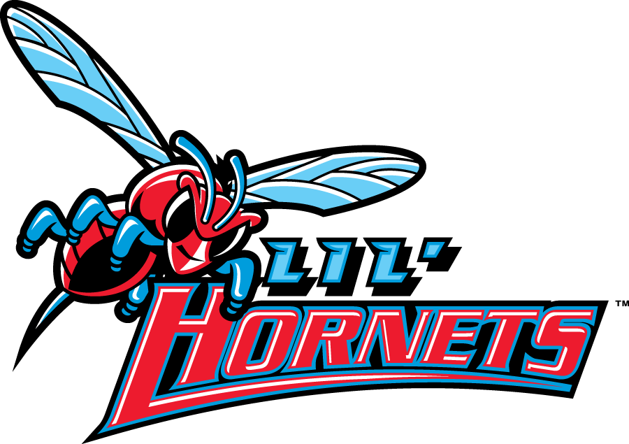 Delaware State Hornets 2004-Pres Misc Logo t shirts DIY iron ons